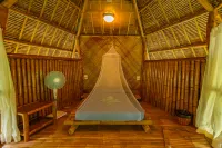 Water to Forest Ecolodge Hotels in Loboc