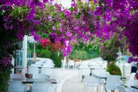 Bougainville Bay Hotel - Airport Shuttle