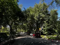 Nature Home Near Downtown and 17th Avenue Ξενοδοχεία στην πόλη Κάλγκαρι