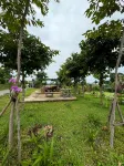 Inthanin Pool Villa Hotels in Phu Pha Man
