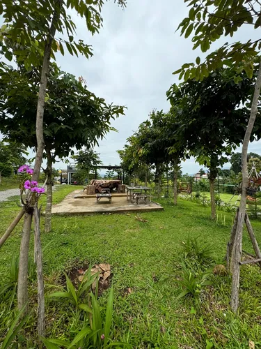 รูปภาพของไร่อินทนิล พูลวิลล่า น้ำหนาว