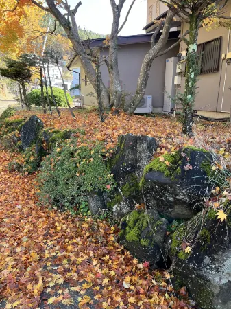 FujiAlpes Отели рядом с достопримечательностью «Kawaguchiko Craft Park»