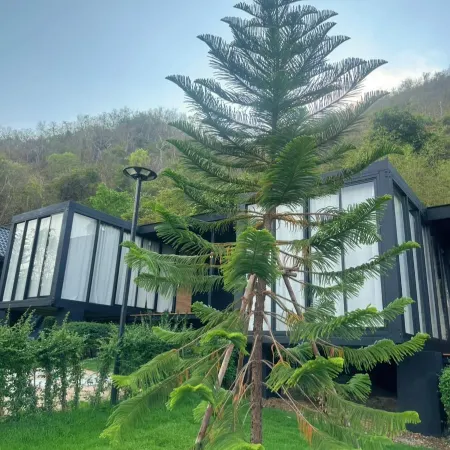 Nara Mountain KhaoYai