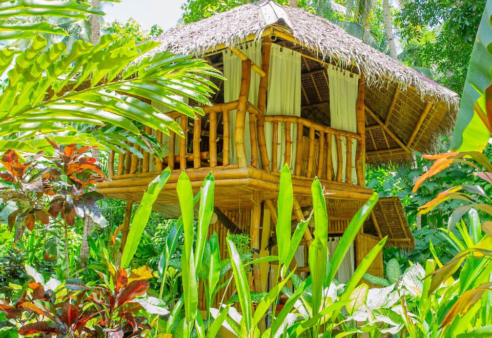 3. 워터 투 포레스..