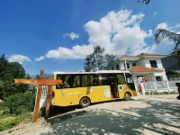 Pine Villa Hotels in 