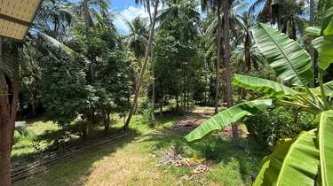 รูปภาพของDeniz's Zen Nest