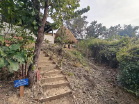 Himalchuli Nature Farmstay