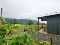 Cow Barn Cafe and Lodge Preah Vihear - bar