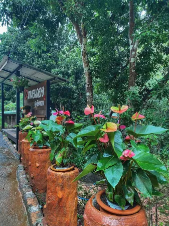 BaanManonDoi Отели рядом с достопримечательностью «Tree House Hideaway»