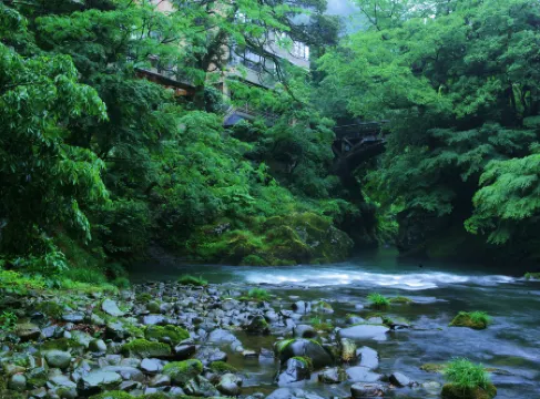 Miyakowasure no Yado Korogiro