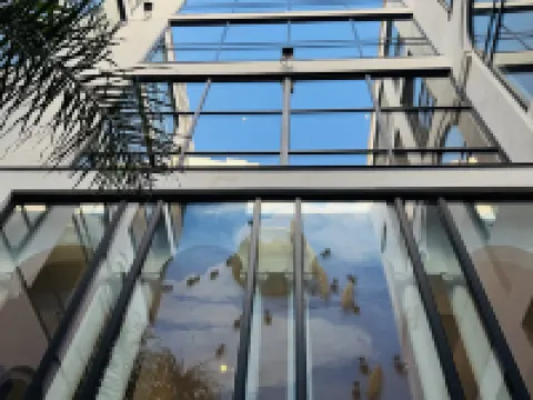 Hotel Divino by Fimedhotels Hoteles en Figueras