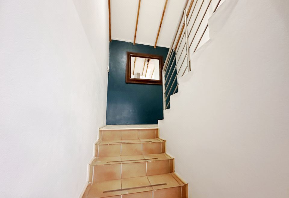 4. 브룩야드 게스트..