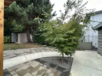 Moon Night Hotels in Delta