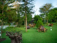 Boloti Camp Resort Hotels in Hai