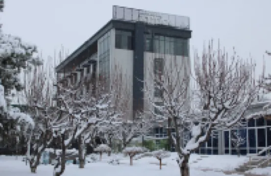 Rayyan Hotel & SPA Tashkent Hotels in 