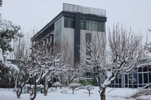 Rayyan Hotel & SPA Tashkent - Bar