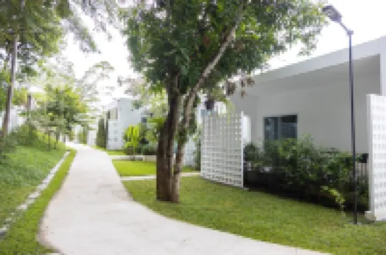 Pani House Hotels near Elephant POOPOOPAPER Park Chiang Mai