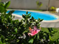 Luxury Secure Gated Villa Surrounded by Nature - Villas