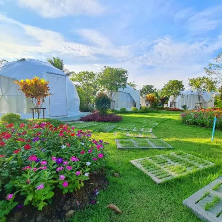 Pigoon Resort & Swimming pool