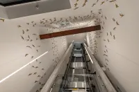 The Golden loft by Aura Luxury Collection