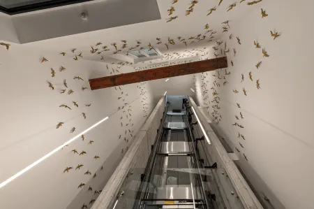 The Golden loft by Aura Luxury Collection