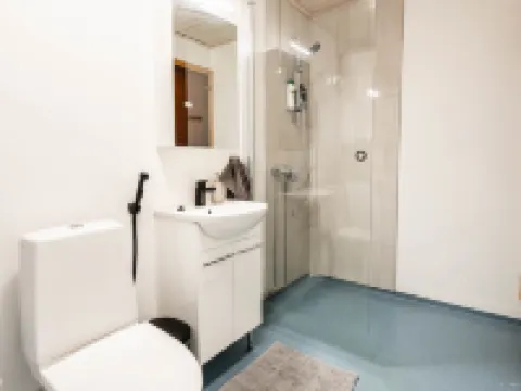 Cozy Koivutie Apartment Hotels in Ranua