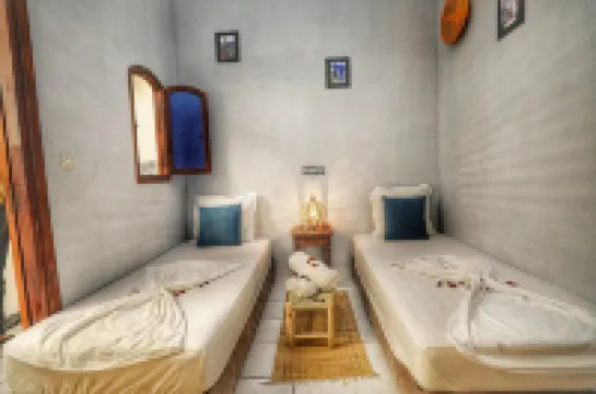 Riad Amirkesh and Pool