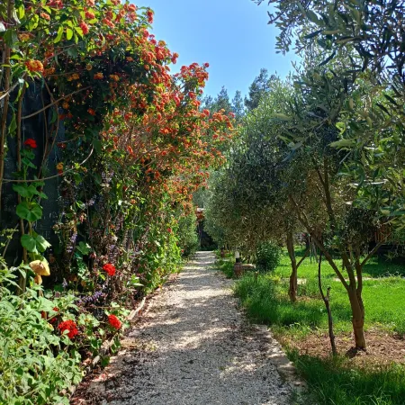 Riviera Bungalow Evleri Demre