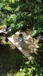 自然にぽつん｜国立公園の山裾に佇む、植物に包まれた一棟貸し宿〈草本〉 - ヴィラ