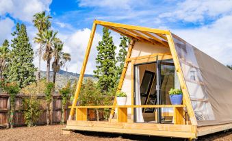 Urban Glamping Oasis: Comfort & Adventure Combined
