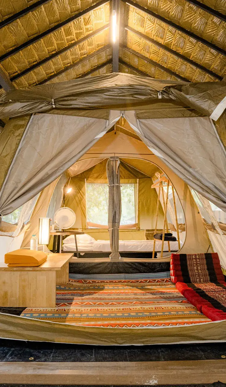 Luxury Safari Tent  พร้อมอาหาร 3 มื้อและ คอร์สนั่งสมาธิ