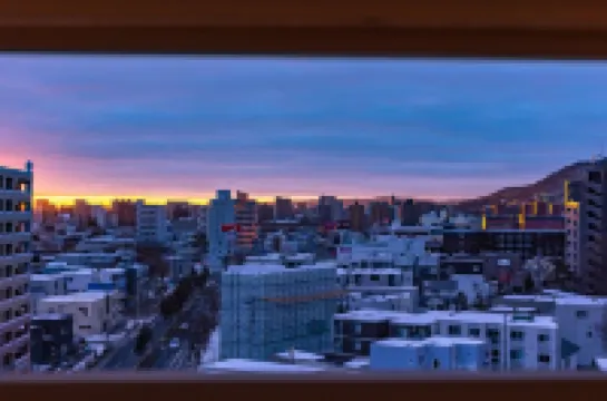 Cozy Stay Sapporo Maruyama