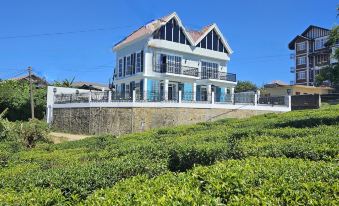 Private Villa by the Tea Estate