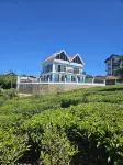 Private Villa by the Tea Estate -  Holiday Villas