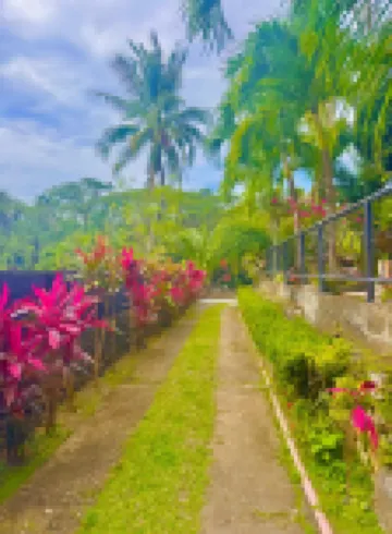 Placido’s Vacation Home in Puerto Galera โรงแรมใน