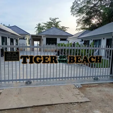 Tiger on the Beach