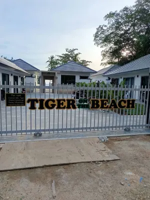 ไทเกอร์ ออน เดอะ บีช