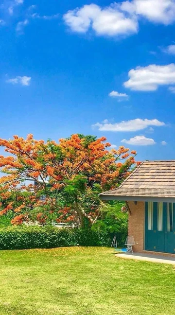 รูปภาพของวิลล่าดิมอนทาน่า เขาใหญ่