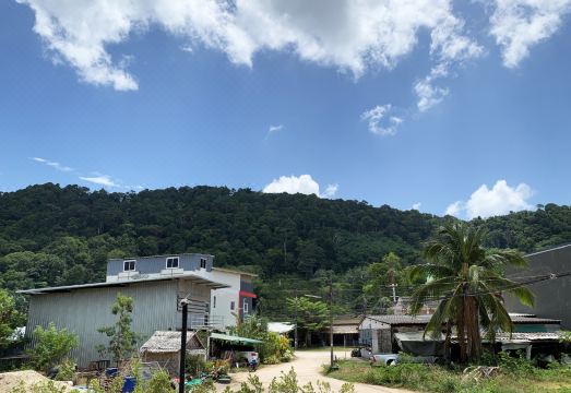 트윈 로터스 스파