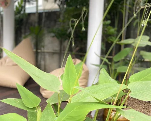 Baaninkan Homestay in kanchanaburi city Khu vực công cộng Photos