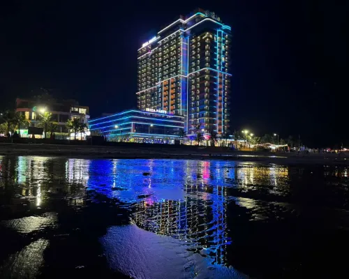 Flamingo Hải Tiến Nổi bật Photos