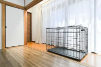 Happiness 10 Person House 2restrooms Near Narita Airport 3 Free Parking Spaces - Kitchen