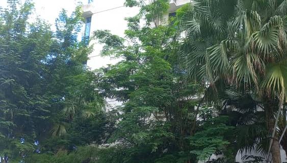 Seaview 2B1R 8pax Condo Forest City 4J-910 Hotels in Gelang Patah
