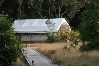 Cardamom Tented Camp Hotels in 