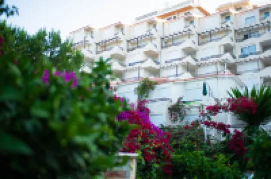 Bougainville Bay Hotel Hotels in 