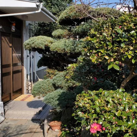 Camellia Guest House