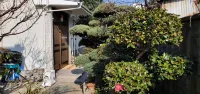 Camellia Guest House 酒店
