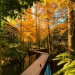 Carefree Park
