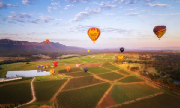 Aussie Chillout - Coal d' Vine Cottage - Cessnock NSW
