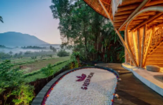 Jiva Bali - Green Dream
